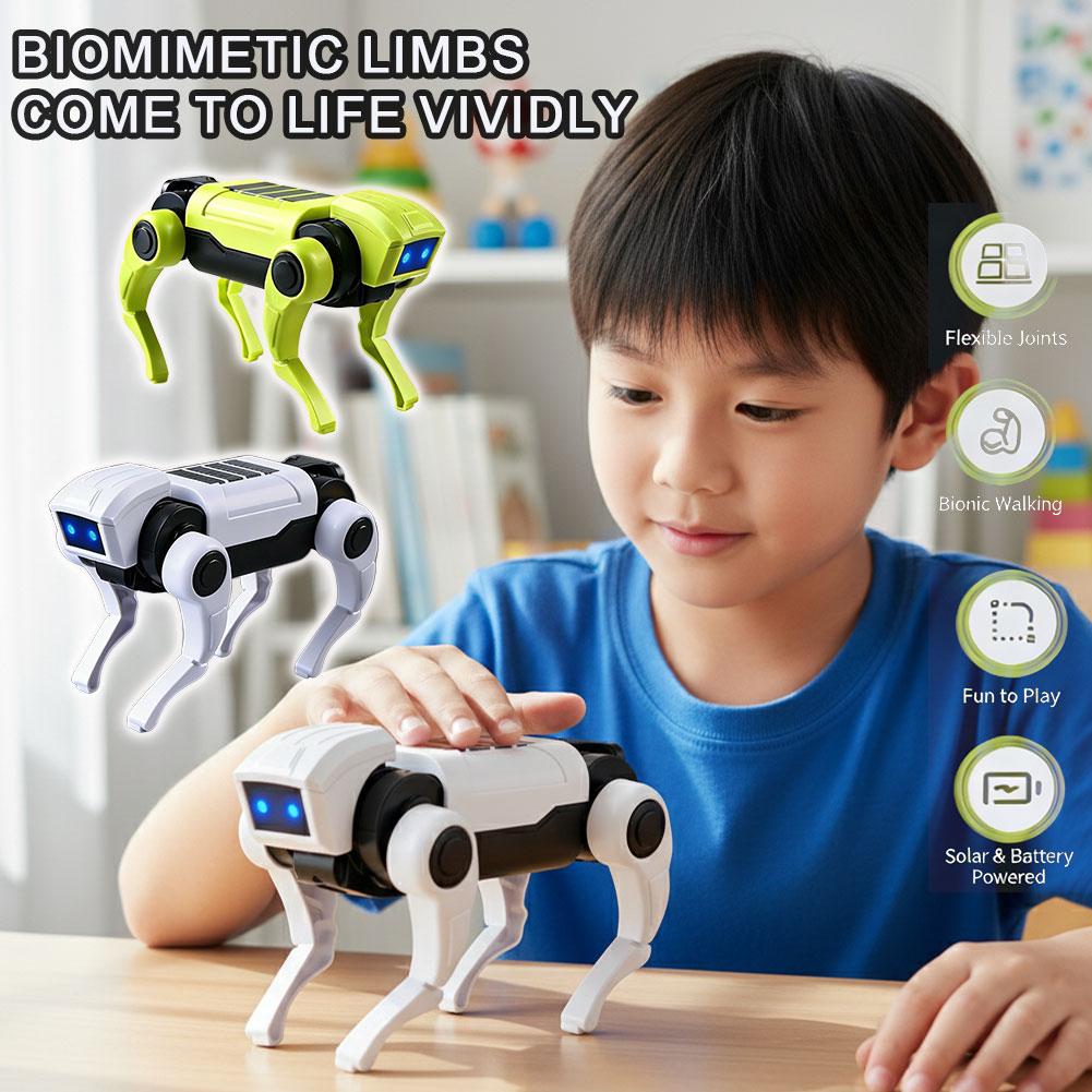 Science Diy Model - Mainan Anjing Robot RC Perakitan DIY