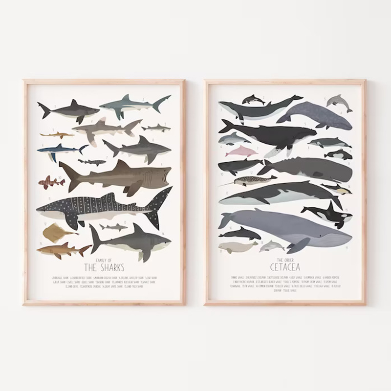 Science Nursery - Poster pendidikan alfabet Sains ikan dan